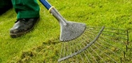 Lawn Treatments In Sheffield - Commercial And Domestic Lawn Mowing
