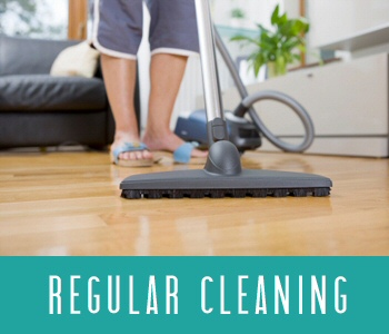Domestic Cleaning Service in Sheffield