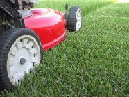 Grass Cutting And Lawn Mowing Service In Sheffield