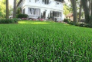 Lawn Mowing - Grass Cutting Service In Sheffield