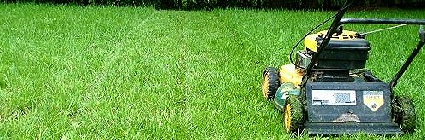 Lawn Mowing - Grass Cutting Service In Sheffield