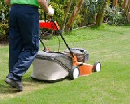Recommended Grass Cutting Service In Sheffield
